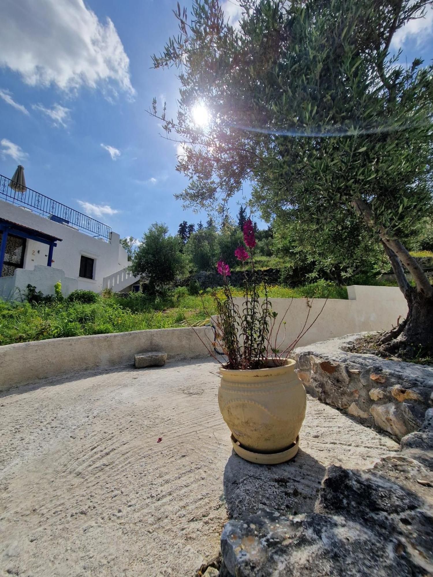 Stefanos Garden Leilighet Arménoi Eksteriør bilde