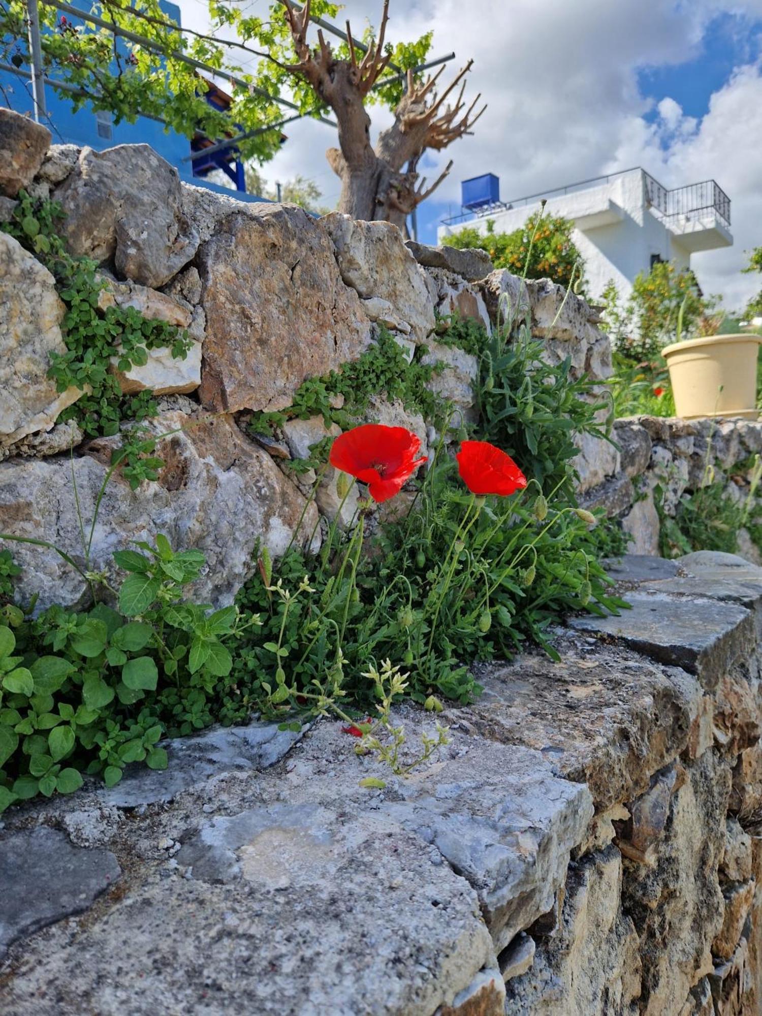 Stefanos Garden Leilighet Arménoi Eksteriør bilde